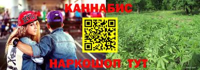 мдпв Кимры