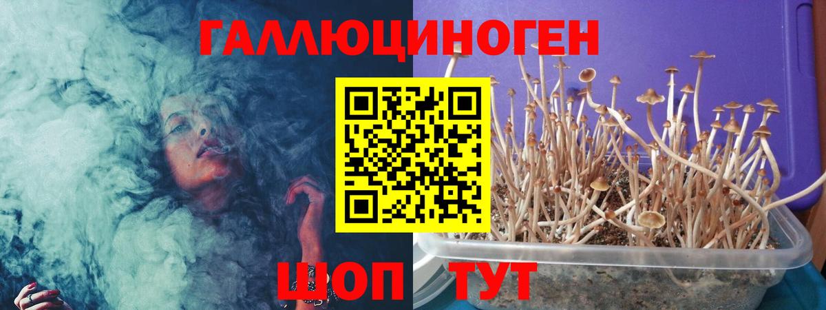 Галлюциногенные грибы ЛСД Балтийск